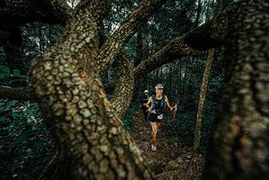 BIB: 
                            <button type="button" onclick="openModal(25697078)" class="btn btn-primary btn-sm float-right btn-popup" data-toggle="modal" data-target=".modal-high-quality">
                        <i class="fas fa-shopping-cart"></i> Add to Cart
                    </button>
                                            <button type="button" onclick="isThisMe(25697078, true)" class="btn btn-success btn-sm float-right btn-popup btn-isme hidden" data-toggle="tooltip" data-placement="bottom" title="นี่คือรูปของคุณใช่ไหม คลิกที่นี่เพื่อเอาเข้าอัลบั้ม">
                        <i class="fas fa-plus"></i> Add to album
                    </button>
                    <button type="button" onclick="isThisMe(25697078, false)" class="btn btn-warning btn-sm float-right btn-popup btn-isnotme hidden">
                        <i class="fas fa-ban"></i> Remove from album
                    </button>